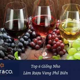 Chọn rượu vang theo giống nho - tại sao không