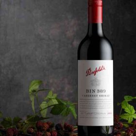 penfolds bin 389 cabernet shiraz