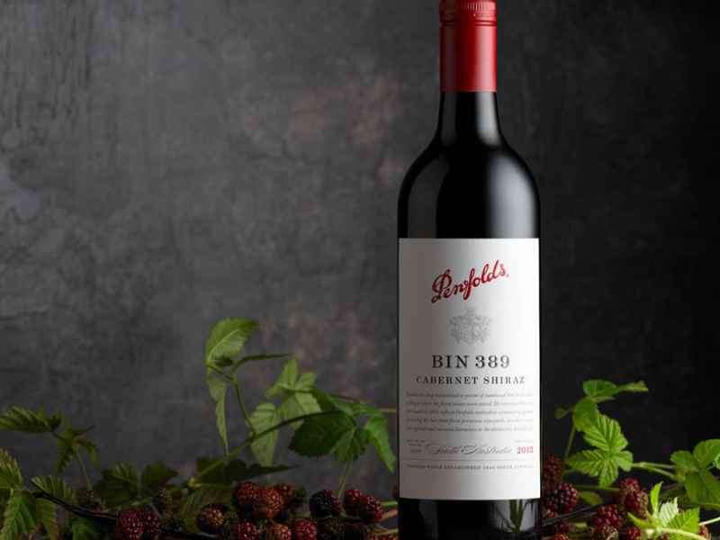 penfolds bin 389 cabernet shiraz