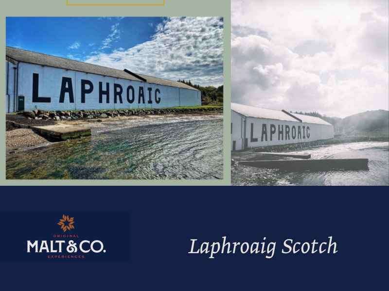 laphroaig scotch