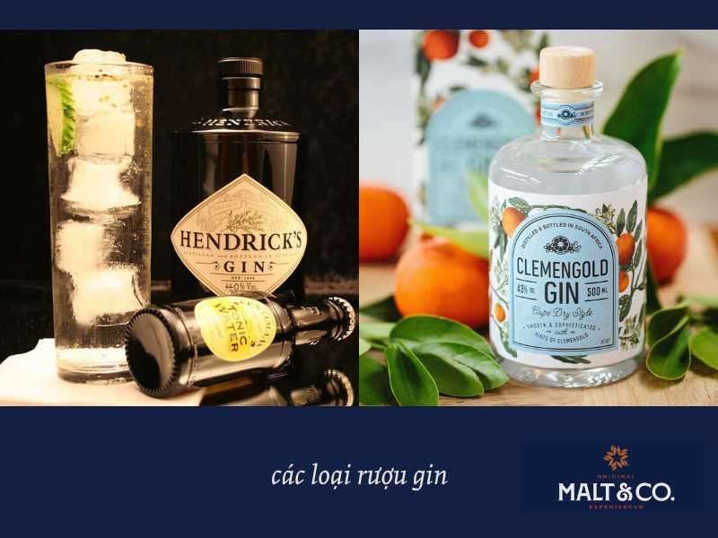 các loại rượu gin