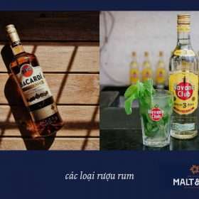 các loại rượu rum