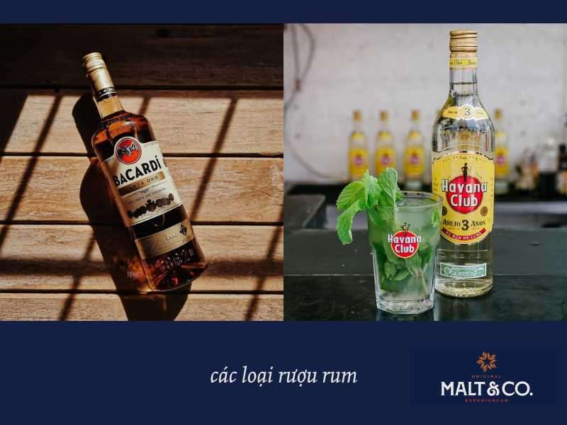 các loại rượu rum