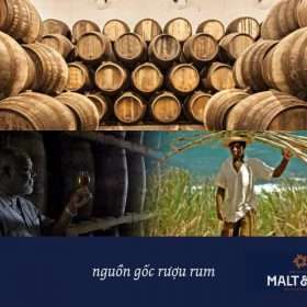 nguồn gốc rượu rum