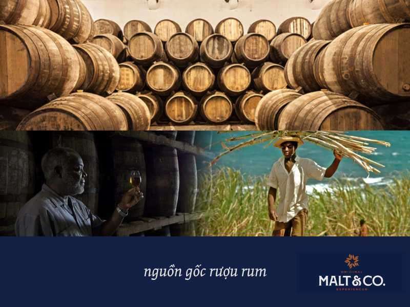 nguồn gốc rượu rum